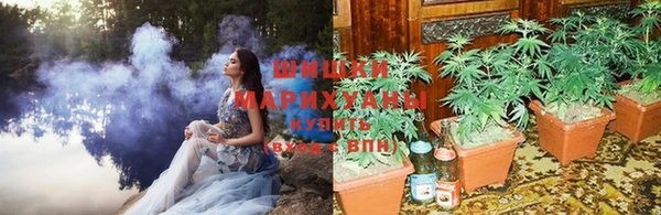 СК Абаза