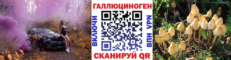 Галлюциногенные грибы Psilocybine cubensis Лабытнанги